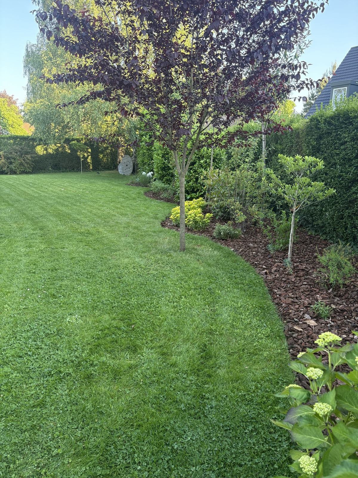 Création de massifs & gazon — chantier GD Jardins